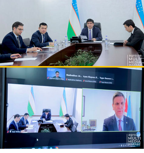 Ўзбекистон Қишлоқ хўжалиги вазирлиги ва ФАО 2023 йилги ҳамкорлик режаларини муҳокама қилди