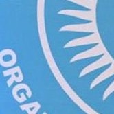 Uzbekistan: Strengthening cooperation within the Turkic World and new horizons of development