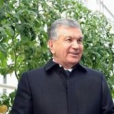 Exports from a modern greenhouse amounted to $480 thousand