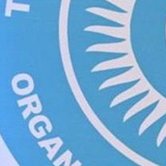 Uzbekistan and the OTS: New Horizons for Investment Cooperation and Priority Projects